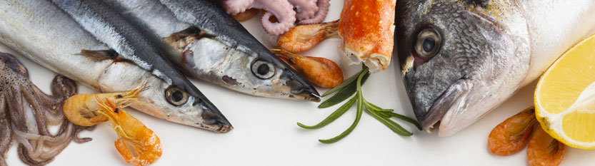 Il progetto Gardapesca s.r.l.